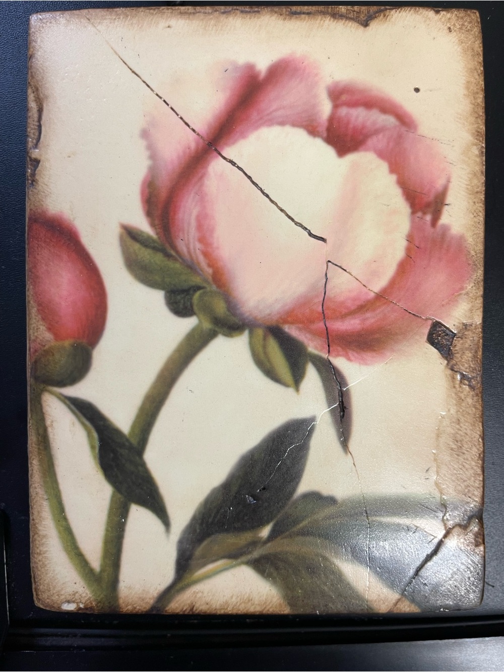 SID DICKENS T-148 MYSTIC BLOOM Memory Block Tile Wall Art- Retired